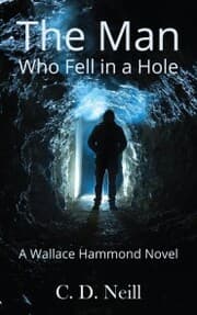 Cover von The Man Who Fell in a Hole