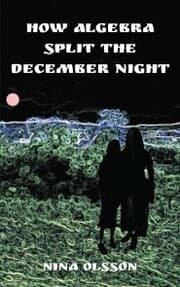 Cover von How Algebra Split the December Night
