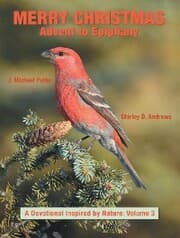 Cover von Merry Christmas Advent to Epiphany