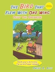 Cover von The Bird That Flew with One Wing