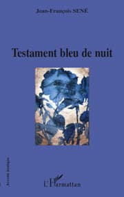 Cover von Testament bleu nuit
