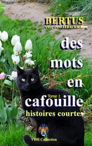 Cover von Des Mots en Cafouille