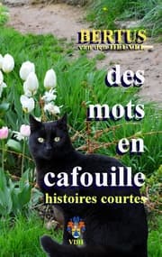 Cover von Des Mots en Cafouille