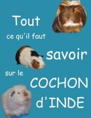 Cover von Tout ce qu'il faut savoir sur le cochon d'inde