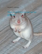 Cover von Tout ce qu'il faut savoir sur les gerbilles