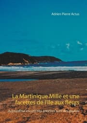 Cover von La Martinique Mille et une facettes de l'île aux fleurs