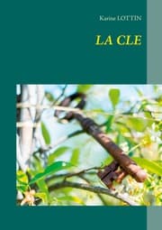 Cover von La clé