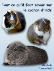 Cover von Tout ce qu'il faut savoir sur le cochon d'inde (nouvelle édition)