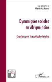 Cover von Dynamiques sociales en Afrique noire