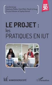 Cover von Le projet : les pratiques en IUT