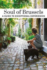 Cover von Soul of Brussels- A guide to exceptional experiences