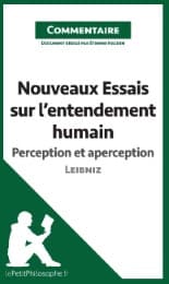 Cover von Nouveaux Essais sur l'entendement humain de Leibniz - Perception et aperception (Commentaire)