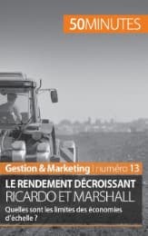Cover von Théorie des rendements décroissants