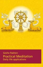 Cover von Practical Meditation