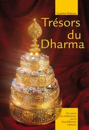 Cover von Trésor du Dharma