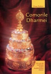 Cover von Comorile Dharmei