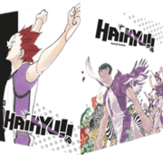 Cover von Haikyu!! Sammelbox 4 - Band 31-40 im Schuber