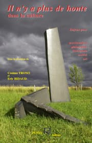 Cover von Il n'y a plus de honte dans la culture