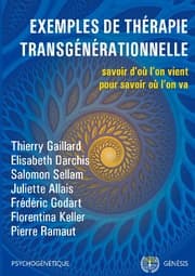 Cover von Exemples de thérapie transgénérationnelle