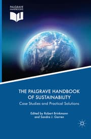 Cover von The Palgrave Handbook of Sustainability