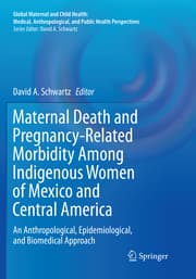 Cover von Maternal Death and Pregnancy-Related Morbidity Among Indigenous Women of Mexico and Central America