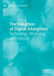 Cover von The Valuation of Digital Intangibles