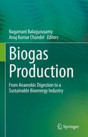 Cover von Biogas Production