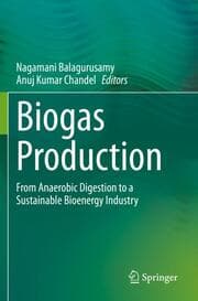 Cover von Biogas Production