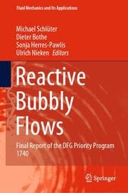 Cover von Reactive Bubbly Flows