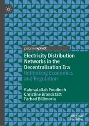 Cover von Electricity Distribution Networks in the Decentralisation Era