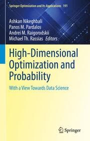 Cover von High-Dimensional Optimization and Probability