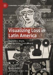 Cover von Visualizing Loss in Latin America