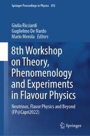 Cover von 8th Workshop on Theory, Phenomenology and Experiments in Flavour Physics