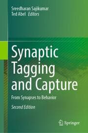 Cover von Synaptic Tagging and Capture