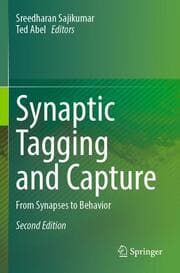 Cover von Synaptic Tagging and Capture