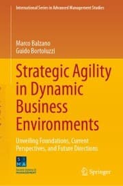 Cover von Strategic Agility in Dynamic Business Environments