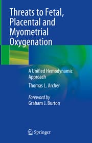 Cover von Threats to Fetal, Placental and Myometrial Oxygenation