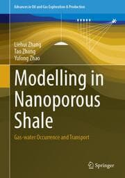 Cover von Modelling in Nanoporous Shale