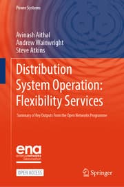 Cover von Distribution System Operation: Flexibility Services