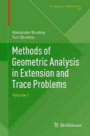 Cover von Methods of Geometric Analysis in Extension and Trace Problems