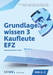 Cover von Grundlagenwissen 3 Kaufleute EFZ - HKB A bis HKB C
