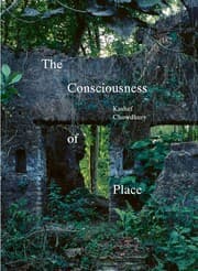 Cover von The Consciousness of Place