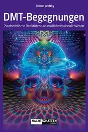 Cover von DMT-Begegnungen