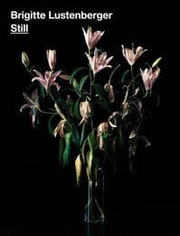 Cover von Brigitte Lustenberger - Still