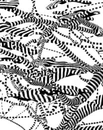 Cover von Carmen Perrin