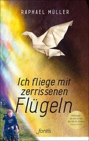 Cover von Ich fliege mit zerrissenen Flügeln
