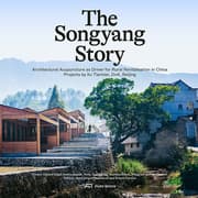 Cover von The Songyang Story