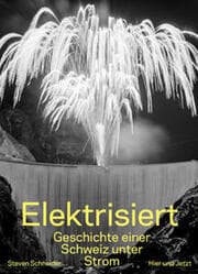 Cover von Elektrisiert