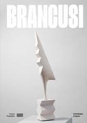 Cover von Brancusi