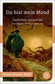 Cover von Du bist mein Mond